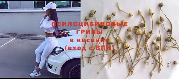каннабис Горнозаводск