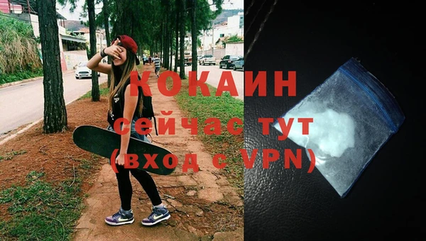 дмт Горно-Алтайск