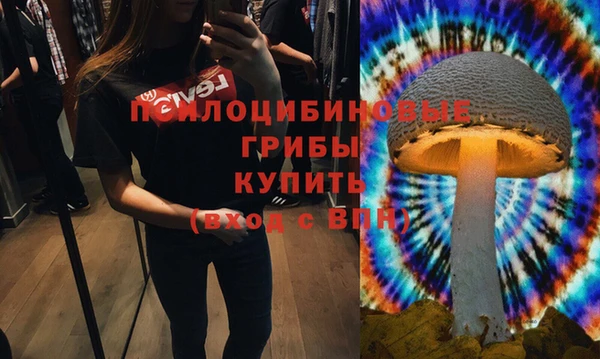 дмт Горно-Алтайск