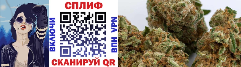 omg ссылка  Зеленодольск  Бошки Шишки VHQ  закладка 